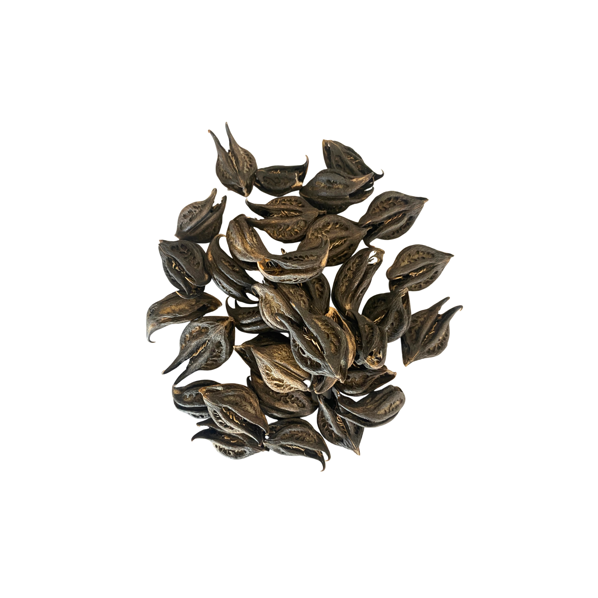 Griffes du Lion Green Kare